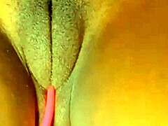 Fizik Berotot Sexystacy7 dan cameltoe yang mengagumkan dipamerkan dalam video masturbasi
