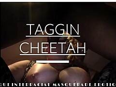 Taggin Cheetahs - zmyselná cesta v intenzívnom medzirasovom stretnutí