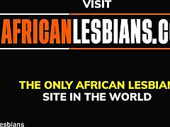 Afrykańska piękność jest lizana i palcowana w domowym filmie