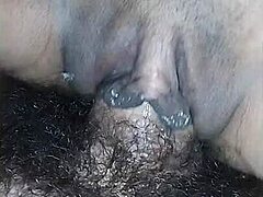 Una cinta de sexo casera de parejas amateur con una vista de primer plano de mamada y cabalgata